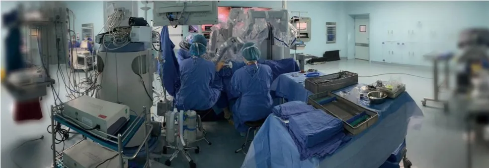 Hot And Cheap Machine Cattle Laparoscope Articulating Laparoscopic Instruments For Veterinary