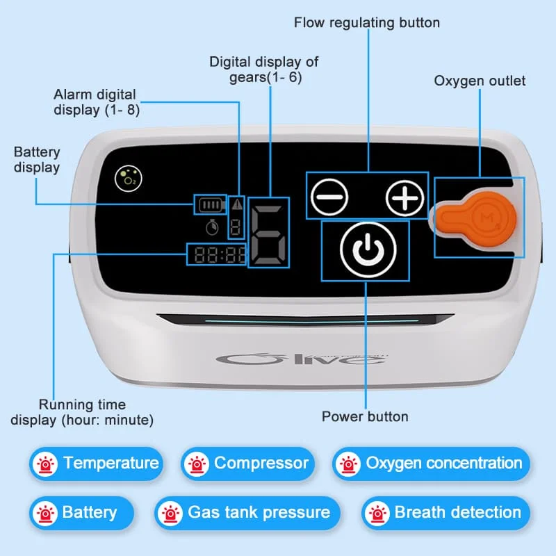 Olive Home PSA Sieve Portable Concentrateur Doxygne Portatif Pulse Oxygen Generator Machine Mini 5l Oxygene Concentrator Small
