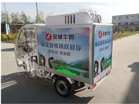 Hot Selling Frozen Cabin Three Wheel Motorcycle Ice Cream Delivery Refrigerator Tricycle Price
