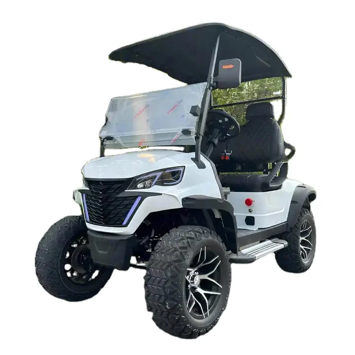 China supplier wholesale price Factory direct hot sales C model 2 seats golf cart OEM