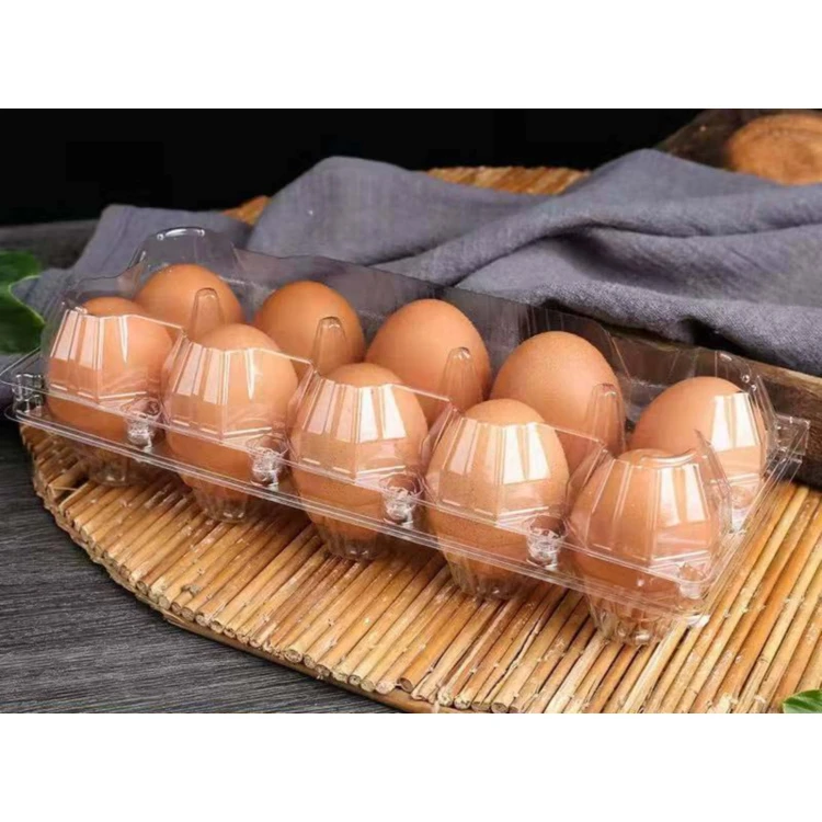 10 Holes PVC PET Transparent Rectangular Plastic Blister Egg Carton Tray Packaging Quail Egg