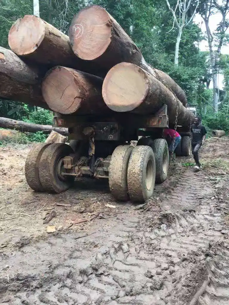 Azobe Round Log Hardwood from Cameroon With Low Price Cheap Round Log Cameroon Wood
