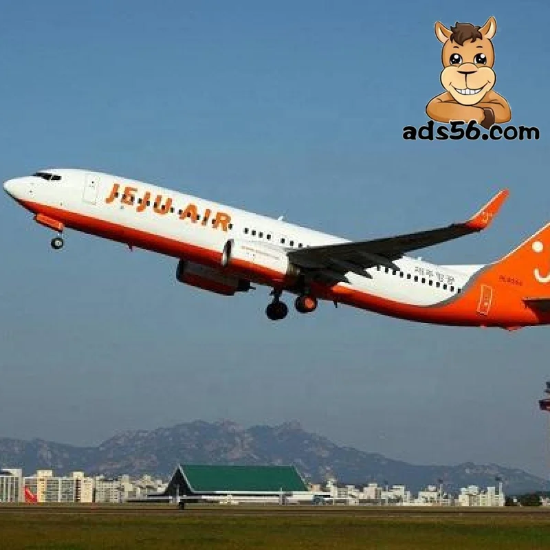 sea shipping for free shipping goods to Nassau  LCL sea shipping forwarding-- wechat 86 15271797980