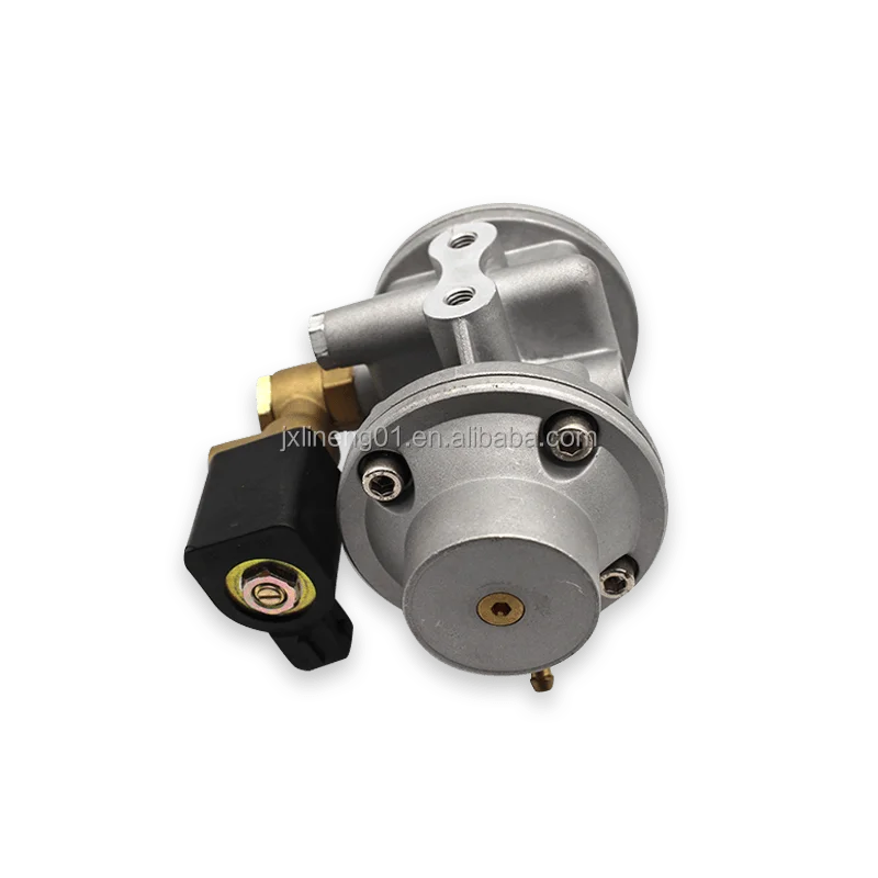 High Quality BRC GAS REDUCER FOR CNG CARS AUTOGAS CONVERSION KIT