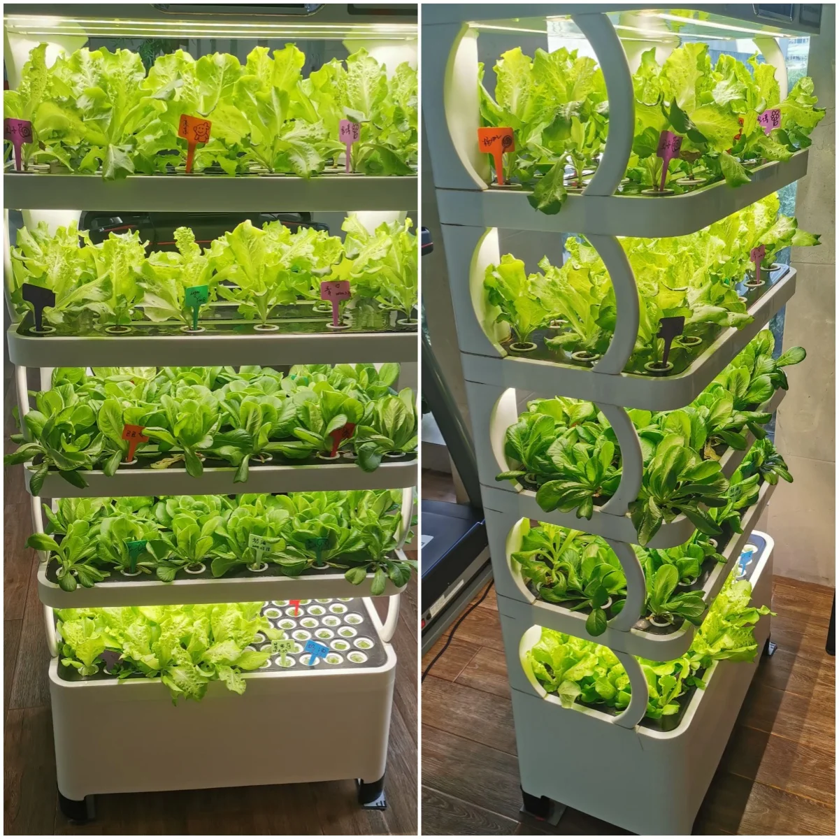 Latest style planting stand indoor  hydroponic growing systems for herbs hydroponics system smart hydroponic