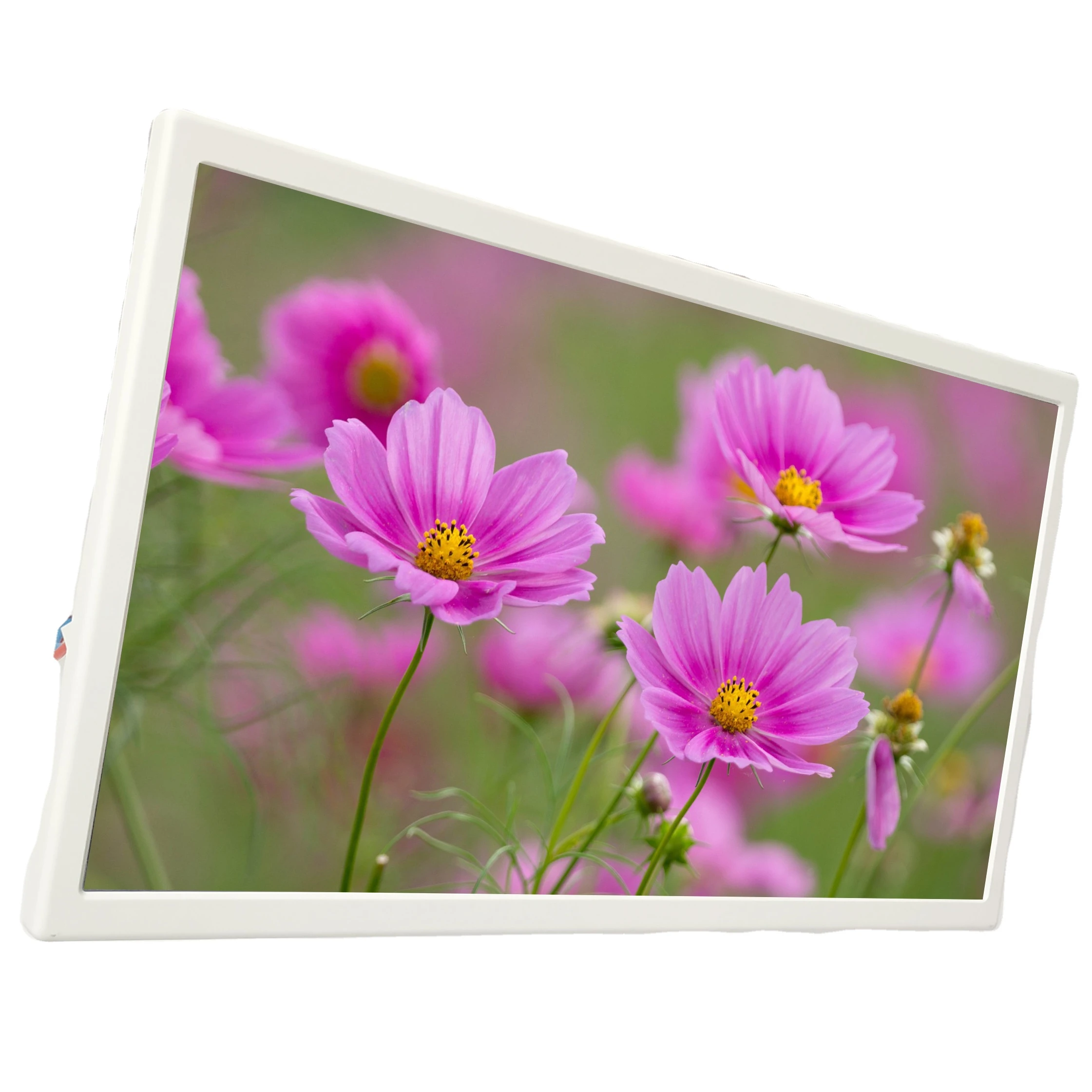 
High definition TFT LCD 21.5 inch roof mount tv bus monitor 