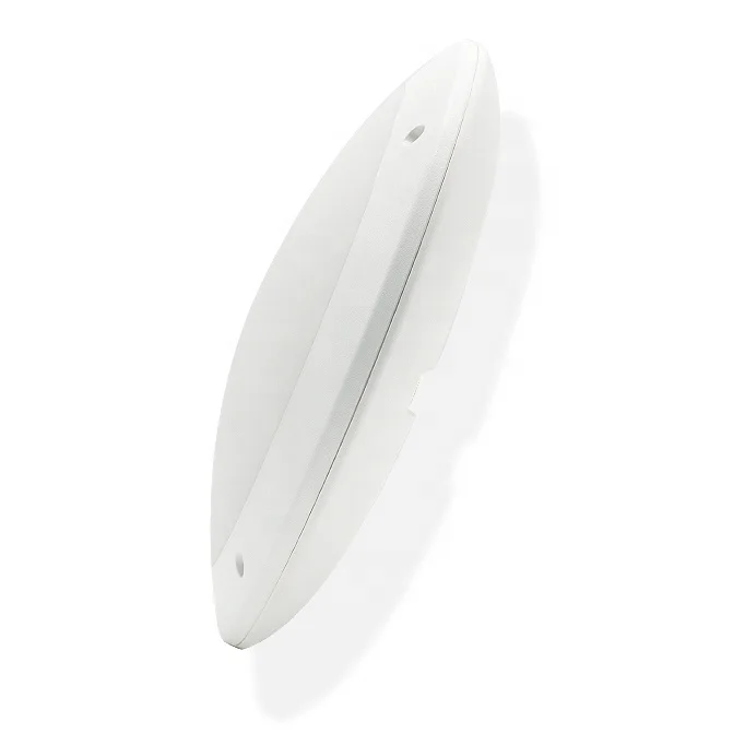 Private Design Outdoor Ceiling Light Waterproof IP65 IK10 LED for Balcony