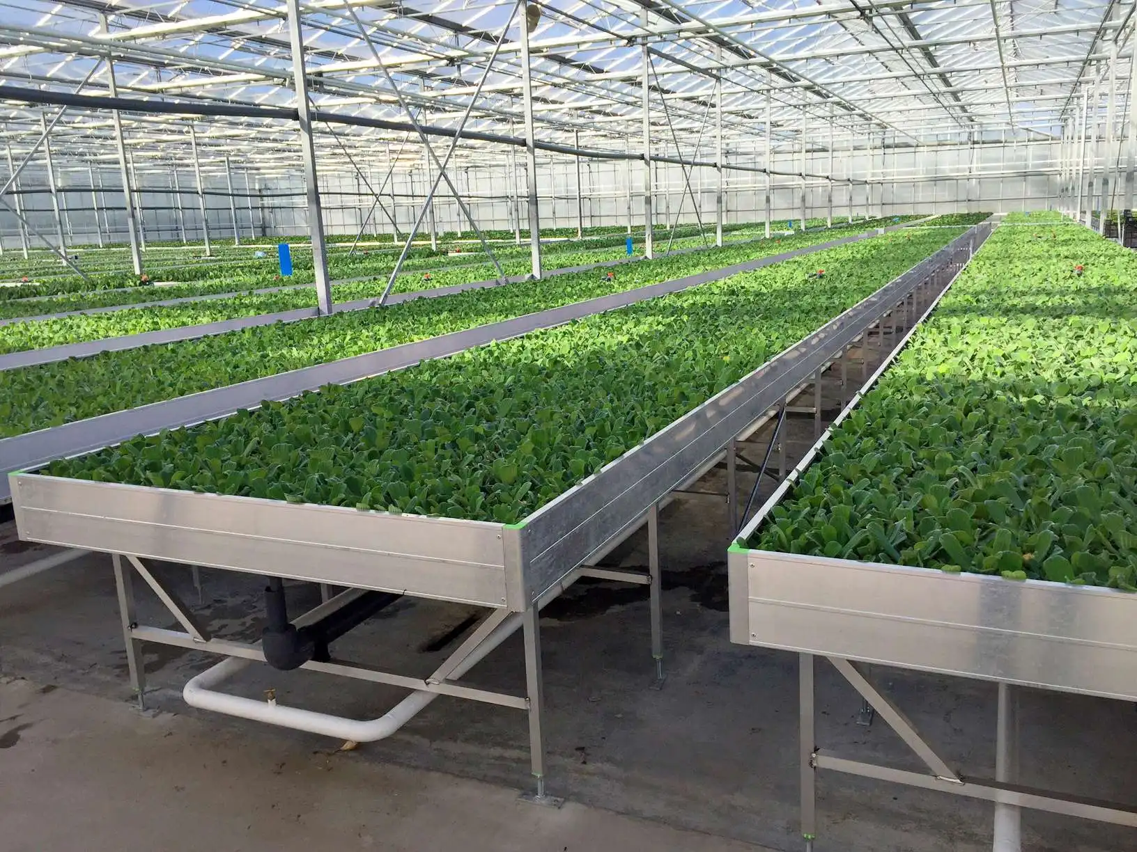 FM Mobile Seedbed Net Hot-dip Galvanized Mesh Greenhouse Seedling Bed Tidal Bed For Seedling Production