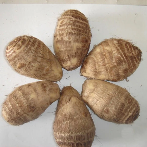  Taro по лучшей цене из