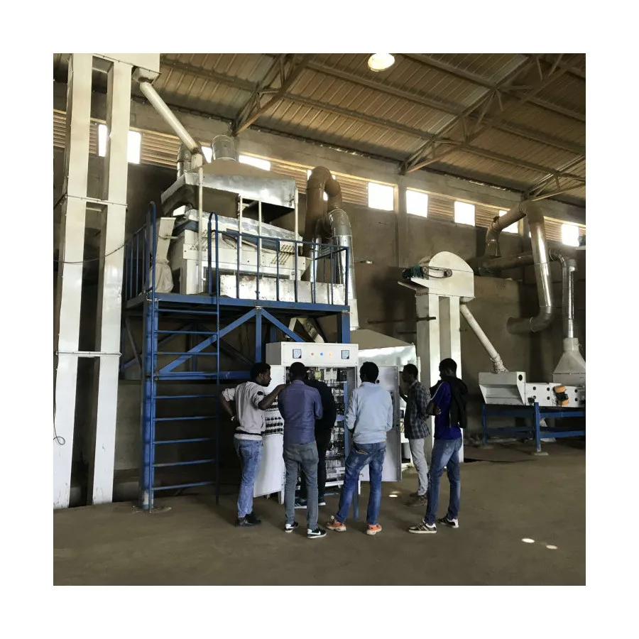 Pinto Bean Cleaning Grading Processing Plant Packing Machines