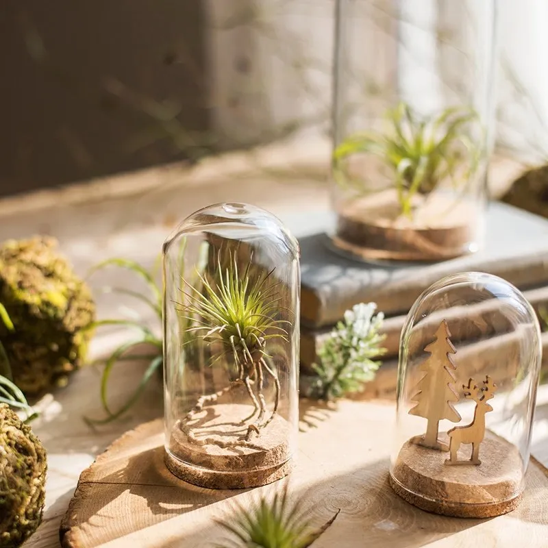 Sale Small Size Glass Dome Cover with Cork Lids