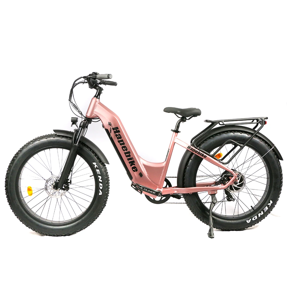 48V 20ah lithium battery with dual 500w rear hub motor e bikes electric bicycle   e-bicycle e-bike electric bicycle