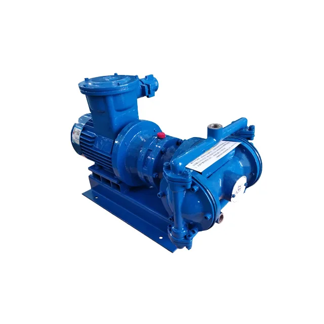 Electric Diaphragm Pump Farming Water Pump Lotion Pump Chemical Industrial Acid Transfer Operated Double