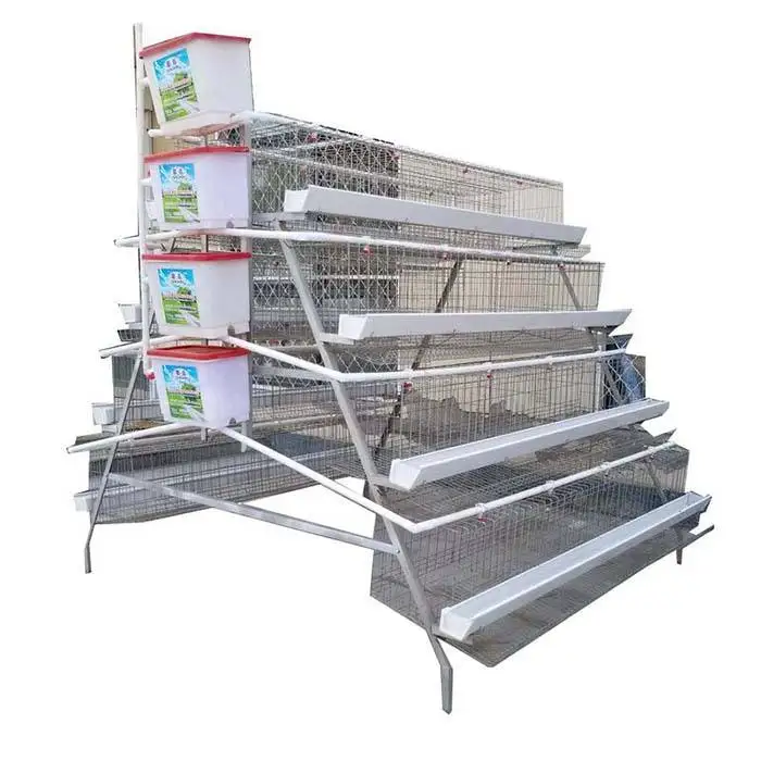 Favorable Price A Type Chicken Cage Wire Mesh Broiler Bird Breeding Cages for Chicken