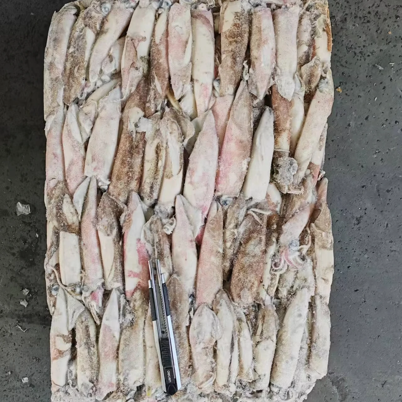 Хорошее качество Loligo chinensis Замороженные Кальмары loligo целые круглые кальмары