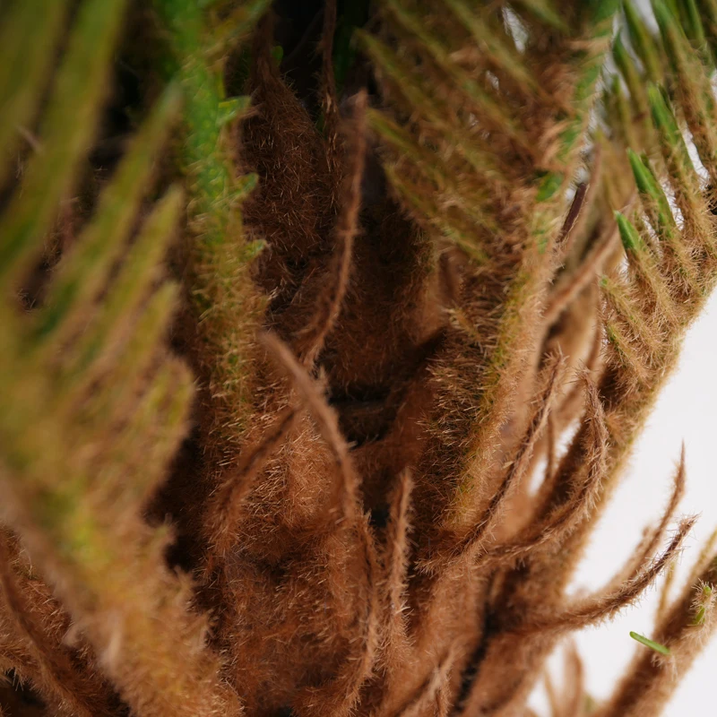 140cm/55in/4.6ft Factory Wholesale Artificial Faux Sago Cycas Palm Trees Plastic Indoor Outdoor Decorated Plants