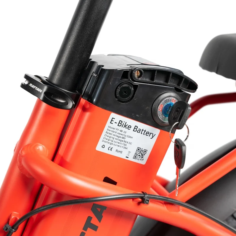 Rattan folding electric bike free shipping e bike 750 watt electric bicycle high speed israel electric bike