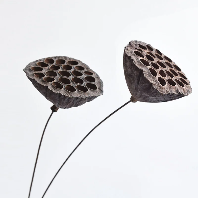2022 most popular real natural dried seedpod of the lotus for dry Christmas decoration