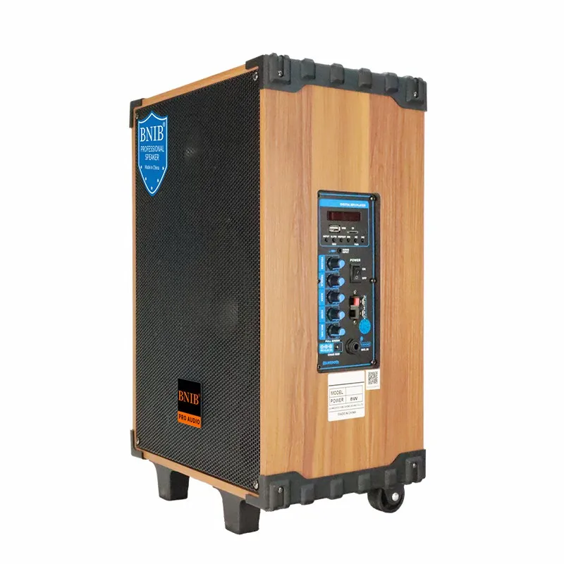 2022 Innovative Products ODM OEM 10 Inch Speaker Big Speaker Pa Speaker System Wholesale Audio System Sound