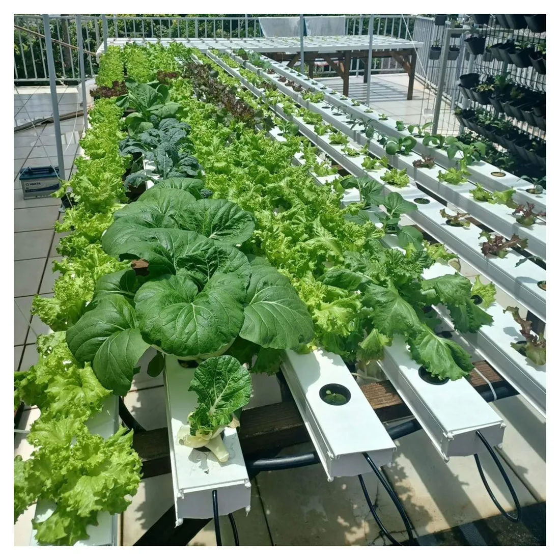 hydroponics farming Nft growing system for hydroponic vertical garden