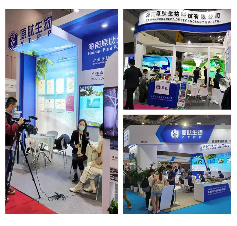 Top Quality  collagen peptide  manufacturer skin whitening fish collagen powder private label halal food supplements