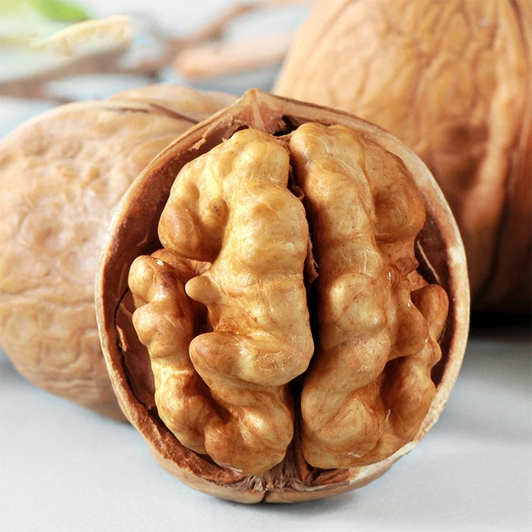 Best selling walnuts Cheap price organic raw walnuts Vietnam