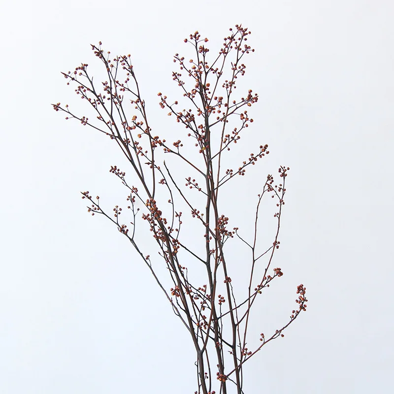 Dried fruit branches Natural Real Dried Flowers Plants Bouquet Holiday Gifts Decorative Flowers Wall Home Wedding Decoration