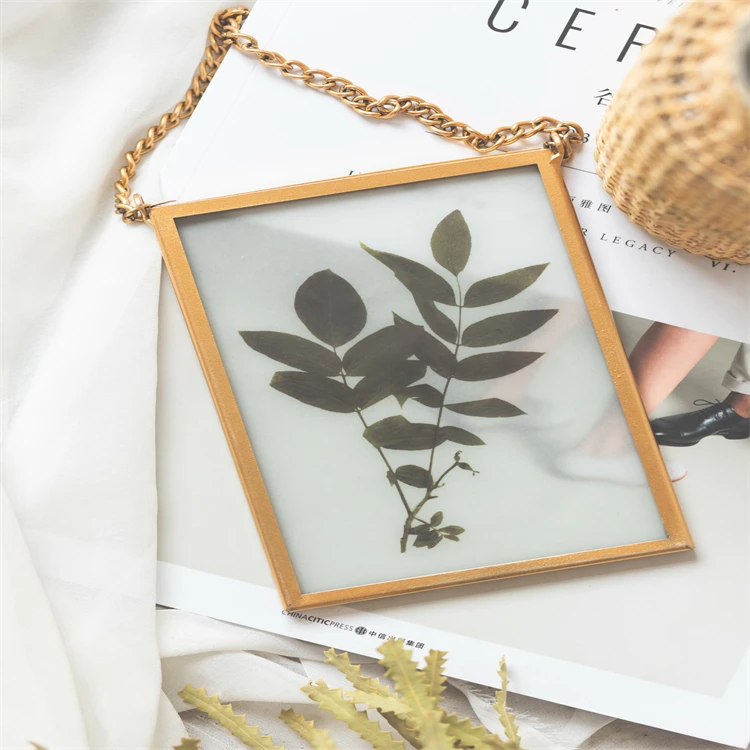 Креативная двухсторонняя Стеклянная фоторамка, настенная металлическая фоторамка с растениями, украшение для дома