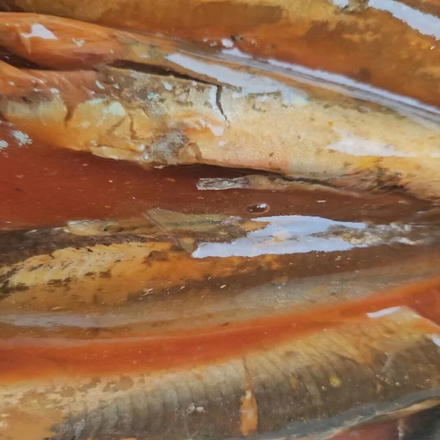 Popular supplier New product Hot selling Canned Sardines in Tomato Sauce with best price