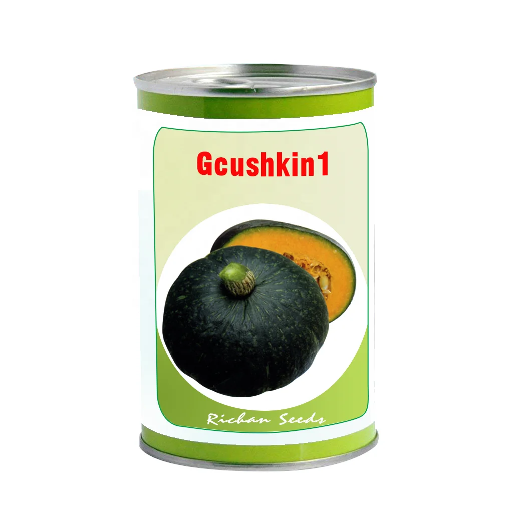 
F1 hybrid pumpkin seeds with flat green skin color high suger content high yield sweet and firm flesh vegetable seeds 