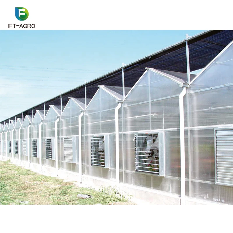 
Cheaper green house agriculture hydroponic system farming equipment PC sheet greenhouse 