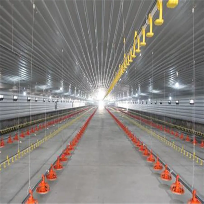 chicken poultry farm structures design/ broiler poultry farm shed design