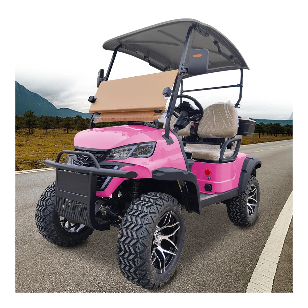 Custom street comfortable 2 seat 4 wheeler electric 48V 5KM golf trolley go cart electric 4x4 street legal