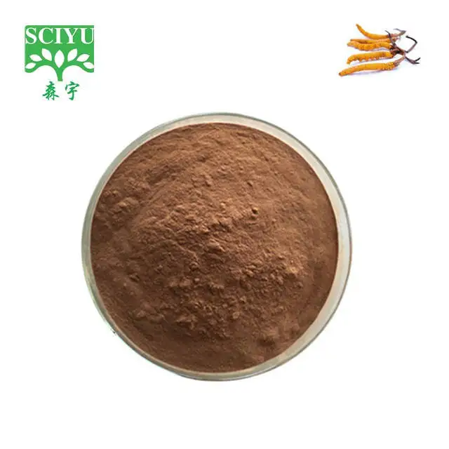 30% Cordyceps Sinensis Extract Powder Food Cell Wall Broken Dong Chong Mushroom 10% Root