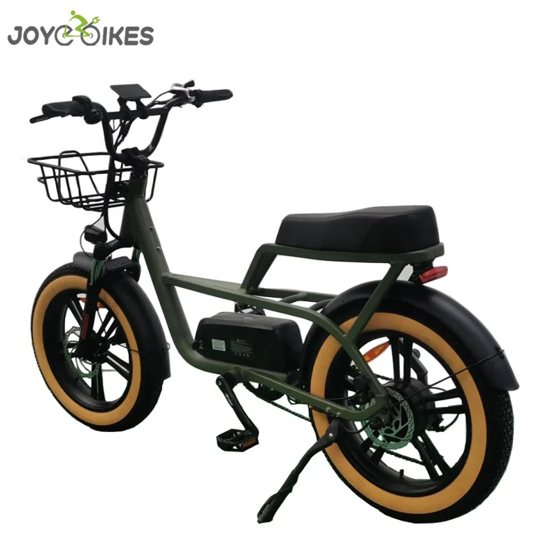 Joyebikes 2024 Motor E-Bike Fat Tire Mountain Bike Fatbike Electric Bicycle Bike China Fat Bike Electric