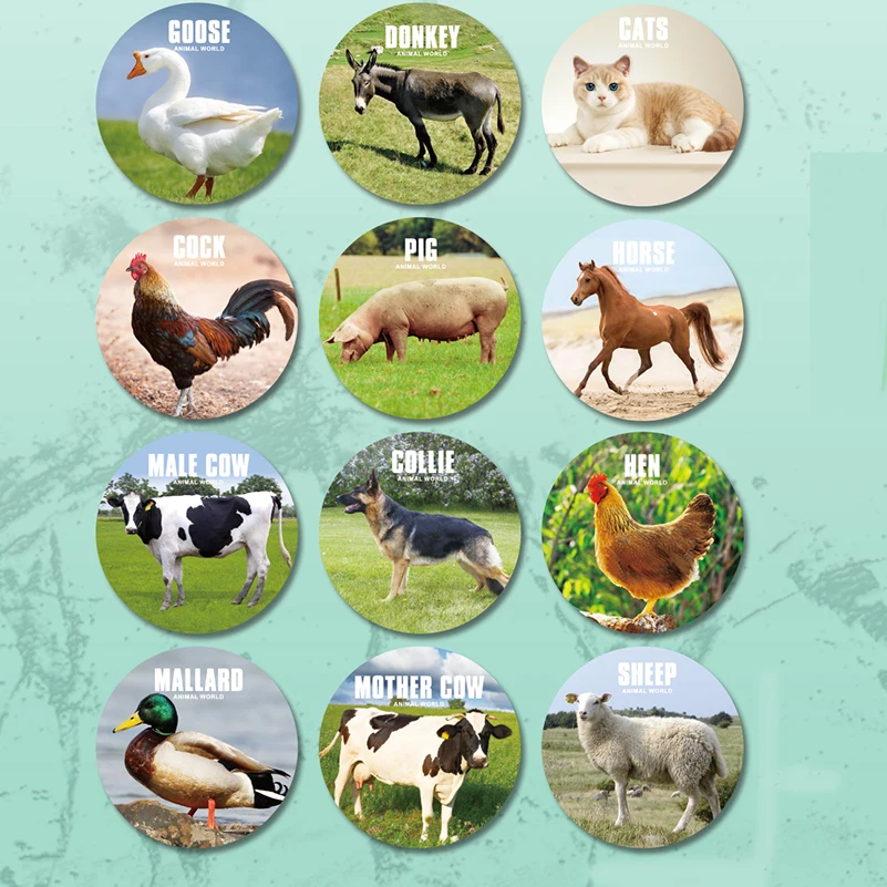 New arrival Lifelike Farm Animal Toy Farm Set Plastic Toys Farm Animals Rubber With Name Car For Children
