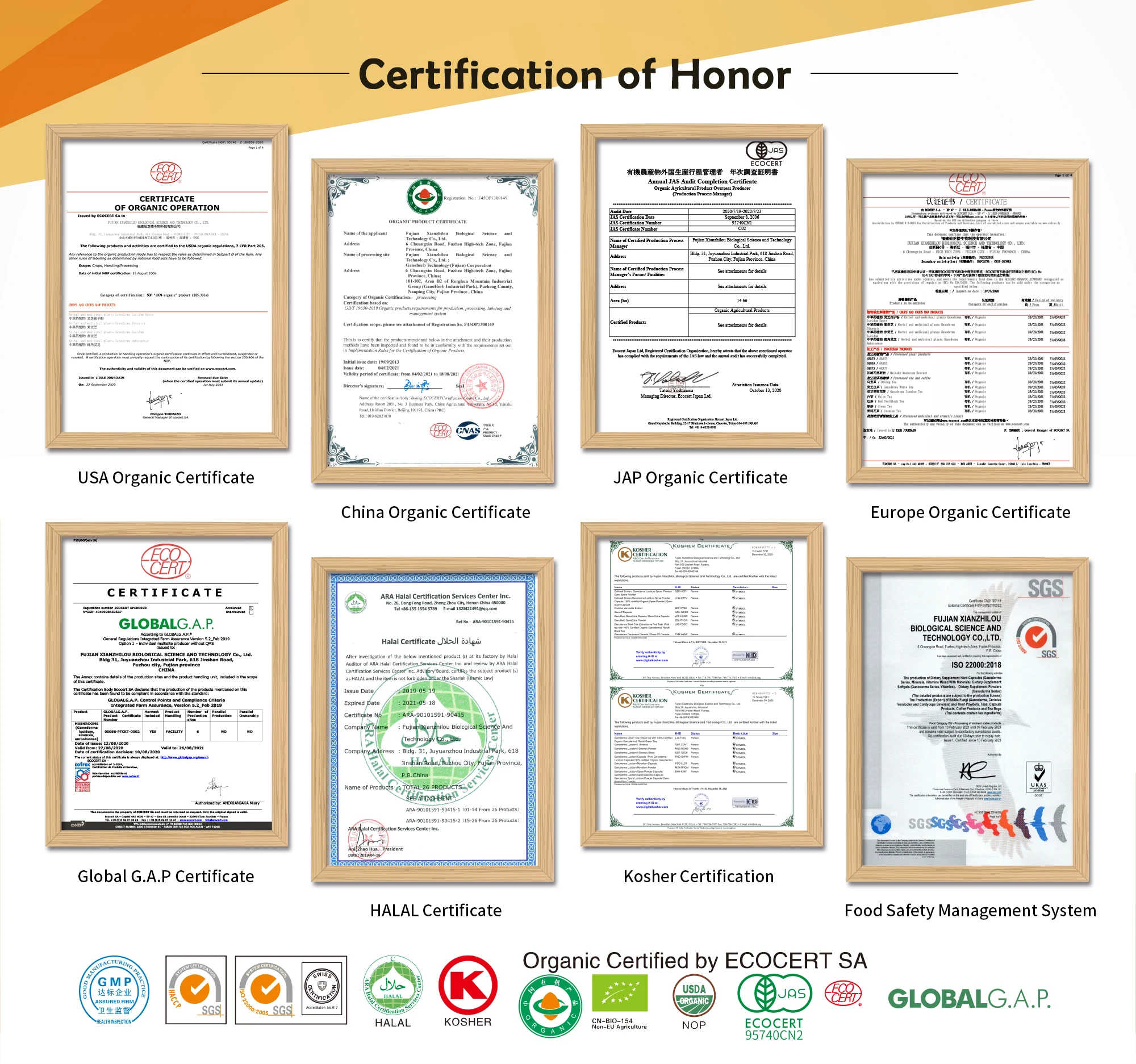 Extraits de Plantes 100% Organic Enoki Mushroom Extract Powder Polysaccharide BETA GLUCAN