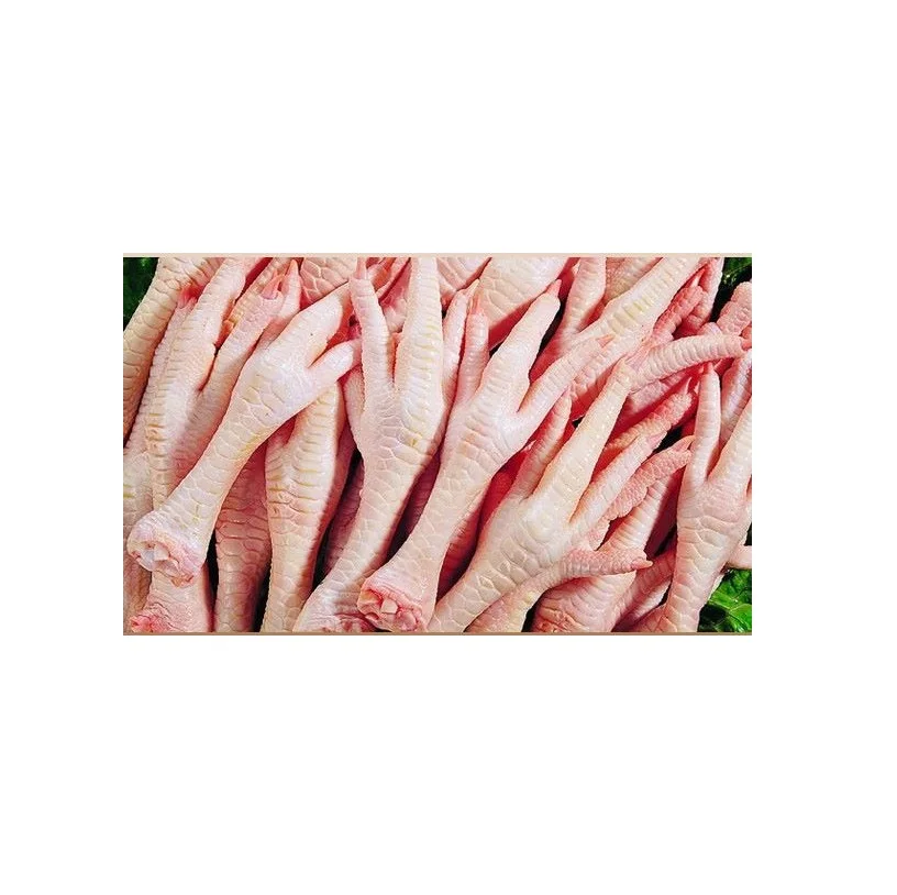 
Frozen Chicken Feet from Thailand for Sale in Bulk from Phetchaburi, Thailand POULTRY 