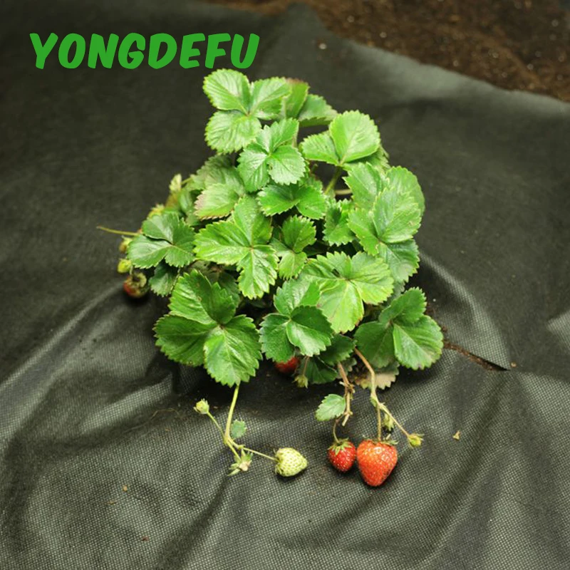 hydrophobic nonwoven fabric, PP spunbonded nonwoven fabric for agriculture