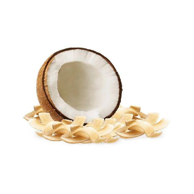 Indonesia Dried Coconut Chips for Wholesale with Competitive Price