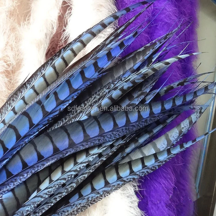 Lady Amherst Pheasant Feathers for Sale Large White Feathers Big Feathers
