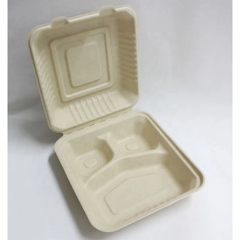 Eco compostable clamshell take away food containers 3 compartment disposable biodegradable sugarcane bagasse lunch box for kids