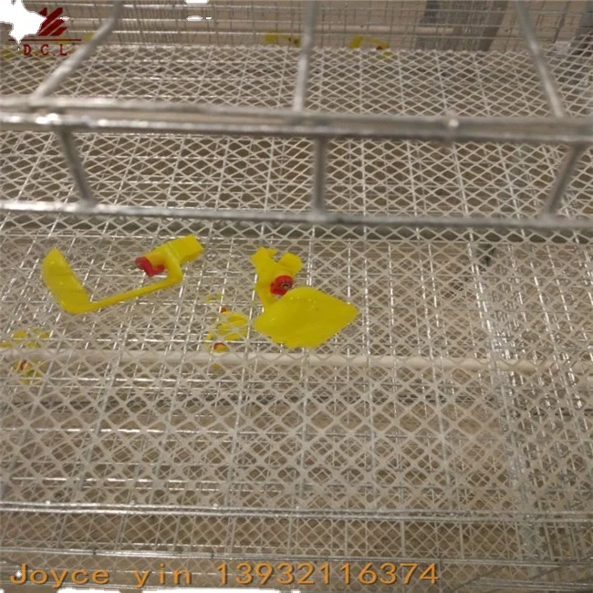 Chicken layer battery cage for layer chicken popular in Africa market