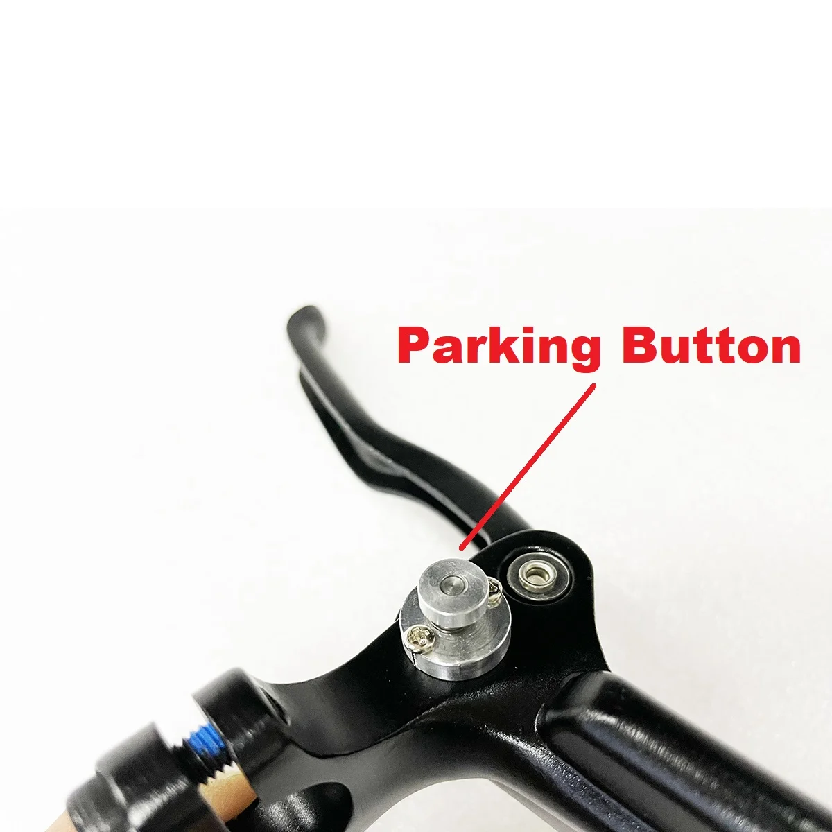 Dual parking button.jpg