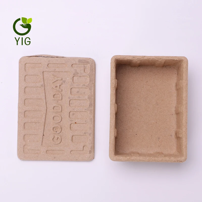 
Gleepulp Paper Molded Pulp Trays 