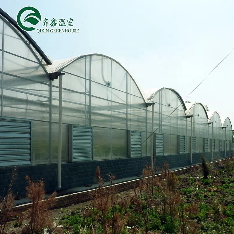 
venlo multispan greenhouse with hydroponic system 