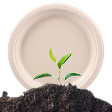 HENGLV Eco-Friendly Compostable Bagasse Tableware Food Packaging Tray Multi-Purpose 4-Compartment Paper Plate