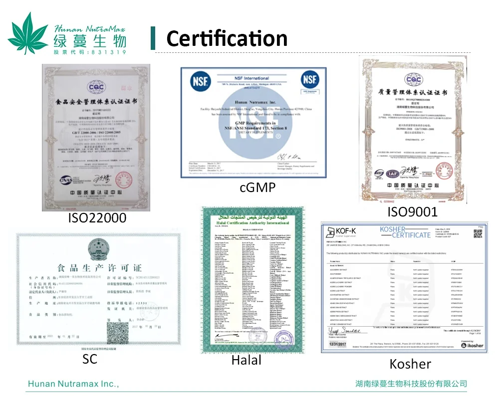 100% Pure Natural Plant Extract Berberine Sulfate 98% Berberine HCL 97%