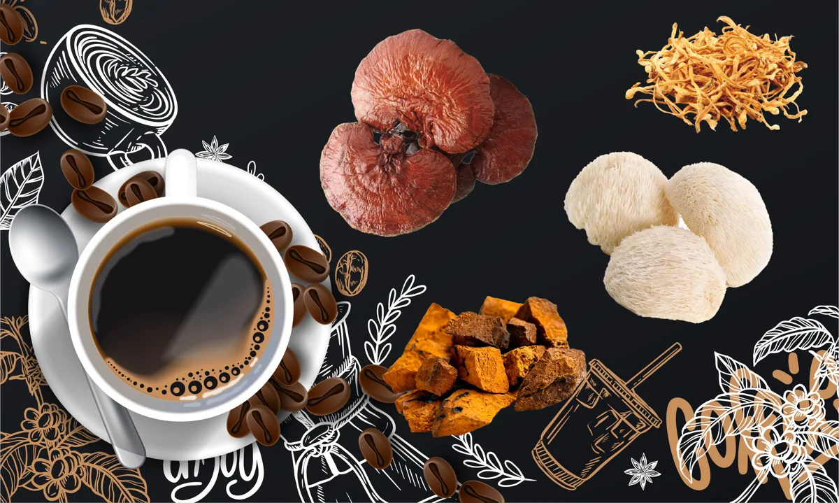 OEM Immune System Brain Boost Natural Lions Mane Liquid Mushroom Extract Drops Lions Mane  Mushroom Drops