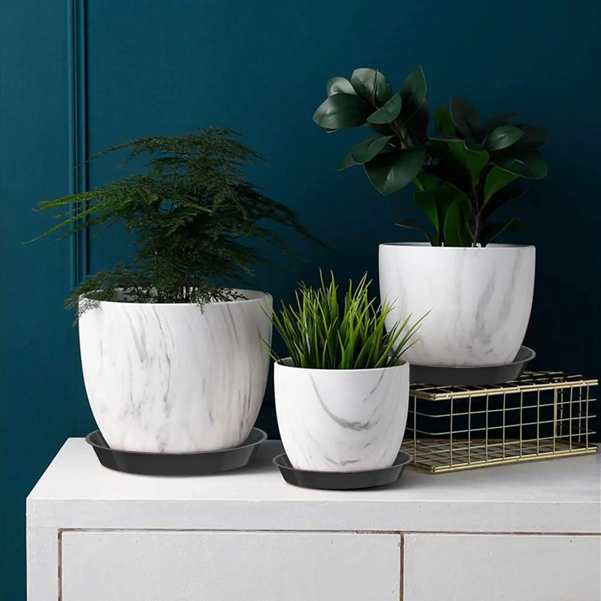 Тарелки для растений рифни, 6 дюймов, черные гигантские керамические тарелки и блюдца, тарелки для растений, долларовое дерево (6 дюймов/15 см в диаметре)